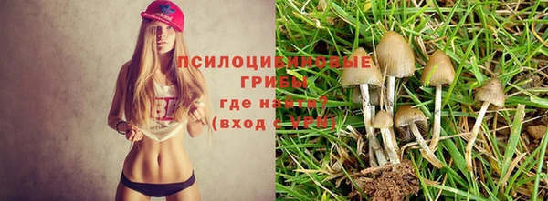 таблы Богданович