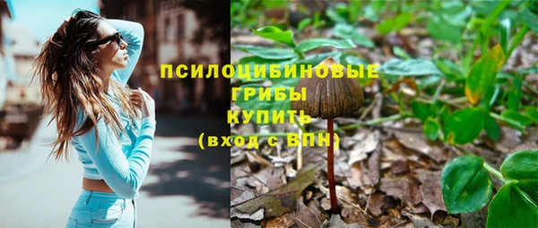 герыч Богородск