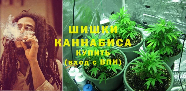 прущая мука Рославль